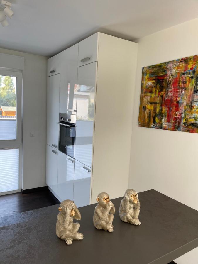 Gemuetliche Villa Am Waldrand In Taunusstein Dış mekan fotoğraf